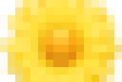 ​  THÔNG BÁO NGHỈ TẾT DƯƠNG LỊCH 2026   ​