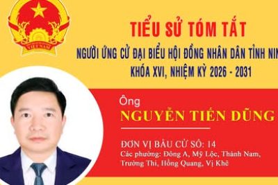 HƯỞNG ỨNG CUỘC BẦU CỬ ĐẠI BIỂU HĐND TỈNH NINH BÌNH, NHIỆM KỲ 2026-2031